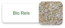 Bio Reis