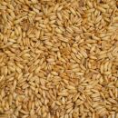 Bio Hafer 5 kg