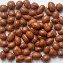 Bio Erdnüsse 2,5 kg in Vollmilchschokolade