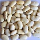 Bio Weisse Riesenbohnen 10 kg