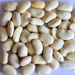 Bio Weisse Riesenbohnen 15 kg (3x5kg)