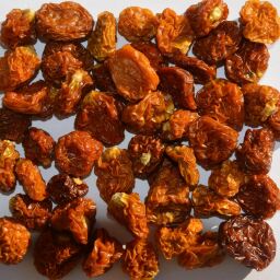 Bio Kapstachelbeere (Physalis) getrocknet 20 kg