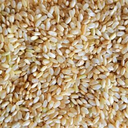 Bio Naturreis Rundkorn 10 kg (Italien)