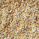 Bio Naturreis Rundkorn 5 kg (Italien)