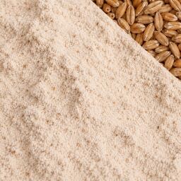 Bio Dinkel Vollkornmehl 10 kg (Ursorten)
