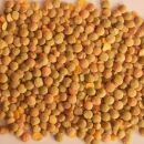 Bio Prärie Linsen 15 kg (3x5kg) (Europa)