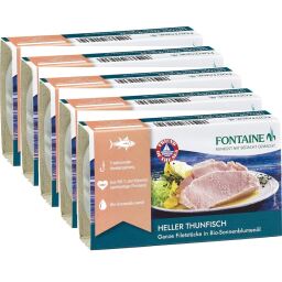 Thunfisch hell 40x120g in Bio Sonnenblumenöl