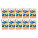 Thunfisch hell 40x120g in Bio Olivenöl