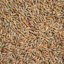 Bio Roggen 5 kg